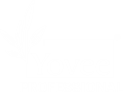Yovee Professional
